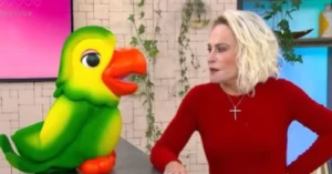Afastamento de Ana Maria Braga gera tensão nos bastidores e questionamentos sobre Louro Mané
