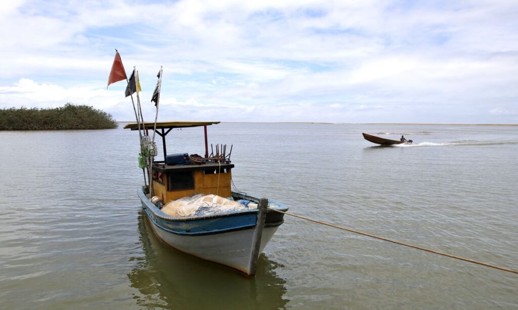 Após dez anos de proibição por tragédia, pesca na foz do Rio Doce é liberada