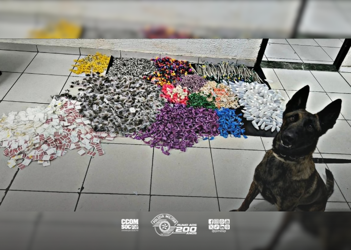 Apreensão recorde de drogas e recuperação de moto mobilizam polícia em Franco da Rocha