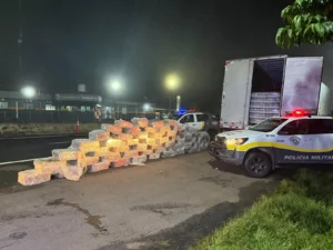 Apreensão recorde de maconha em caminhão causa prejuízo milionário ao crime