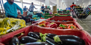 Campanha #Fazaxepa mobiliza sociedade contra o desperdício de alimentos no Brasil