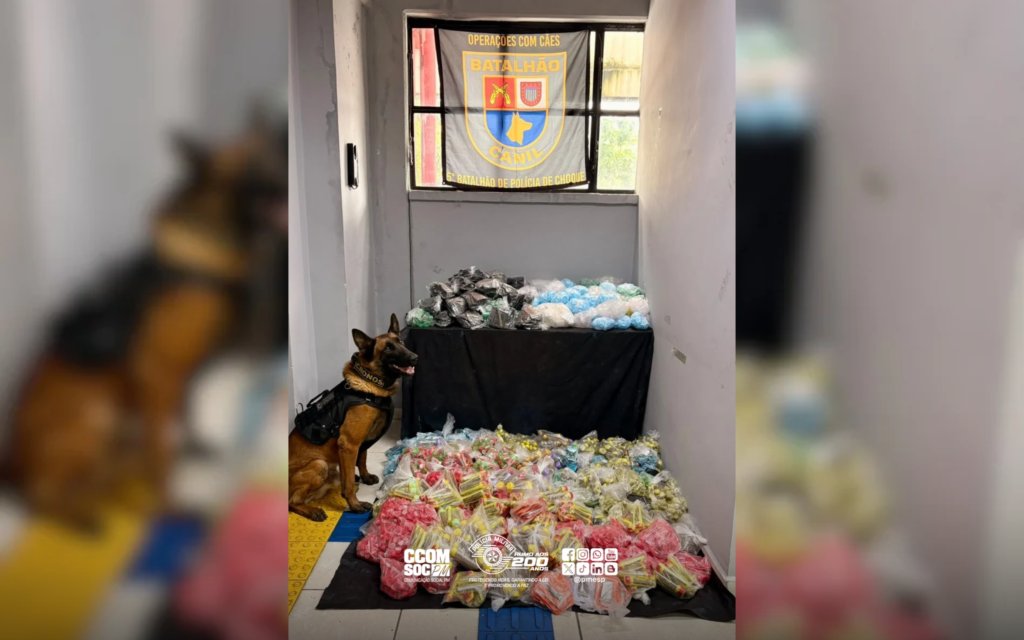 Cão farejador da polícia Militar localiza mais de cinquenta quilos de entorpecentes na Zona Norte da capital