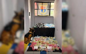 Cão farejador da polícia Militar localiza mais de cinquenta quilos de entorpecentes na Zona Norte da capital