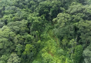 Estudantes da América do Sul podem se inscrever no Desafio Global de Sustentabilidade