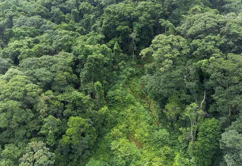 Estudantes da América do Sul podem se inscrever no Desafio Global de Sustentabilidade