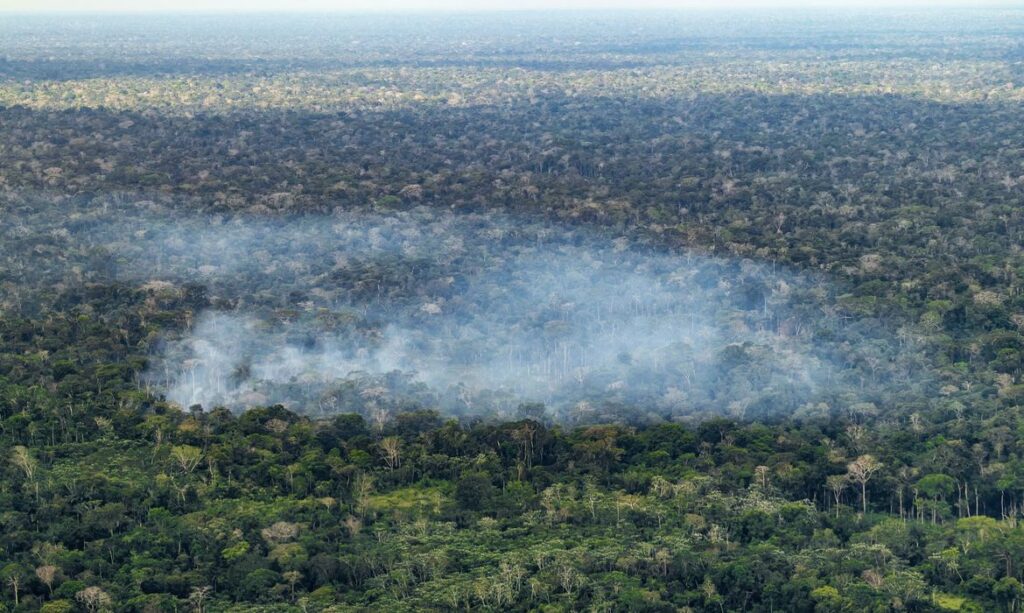 Estudo comprova que ação humana impulsiona emissões de carbono na Amazônia