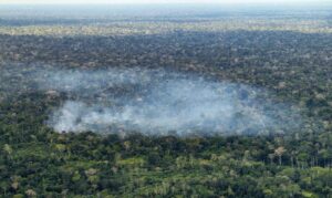 Estudo comprova que ação humana impulsiona emissões de carbono na Amazônia
