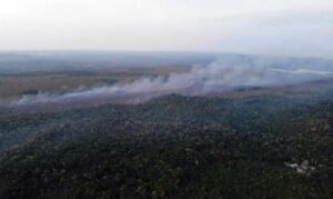 Governo federal amplia reforços e aeronaves para conter incêndios no Pará
