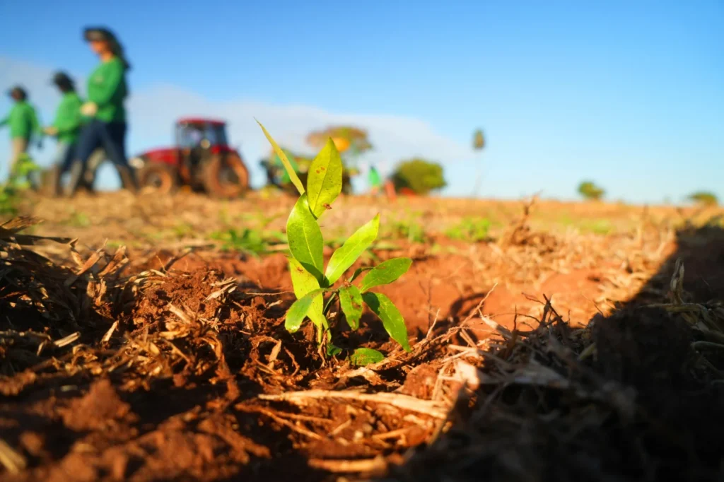 Governo paulista revela vencedores da segunda edição do Prêmio SP Carbono Zero