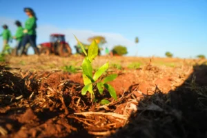 Governo paulista revela vencedores da segunda edição do Prêmio SP Carbono Zero