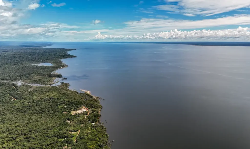 Meio ambiente e clima: as propostas de Flávio e Lula para o segundo turno
