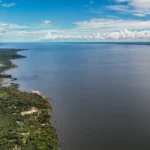 Meio ambiente e clima: as propostas de Flávio e Lula para o segundo turno