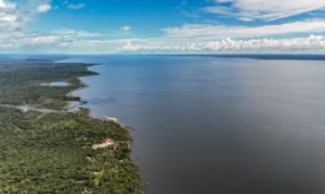 Meio ambiente e clima: as propostas de Flávio e Lula para o segundo turno
