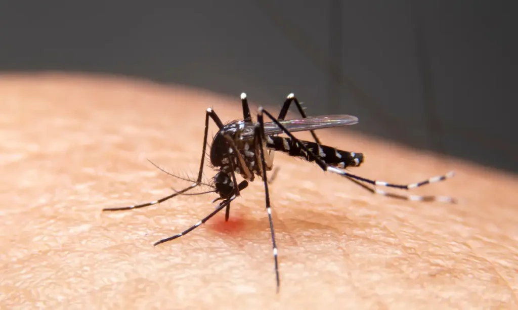 Mudanças climáticas aceleram expansão de doenças infecciosas no Brasil
