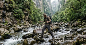 Pampas e cânions gigantes revelam a força da natureza na mata atlântica do sul