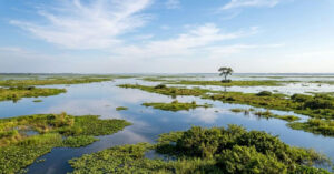 Parque Nacional do Pantanal ganha expansão histórica para proteger biodiversidade