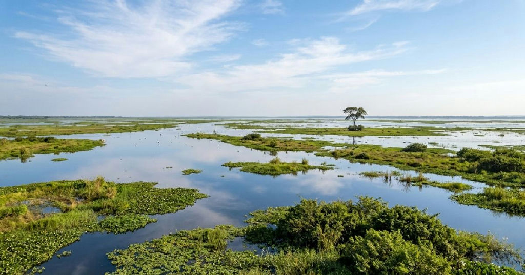 Parque Nacional do Pantanal ganha expansão histórica para proteger biodiversidade