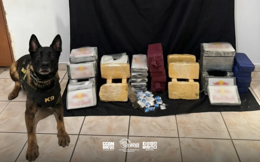 PM e cão farejador retiram 44 kg de entorpecentes de imóvel em Guaianases