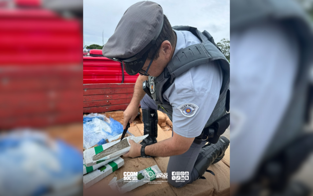 Polícia Rodoviária intercepta quase uma tonelada de drogas em carreta na Castello Branco