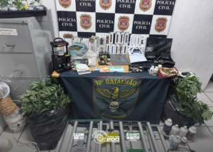 Policiais descobrem estufa de cannabis e apreendem mudas na zona leste de São Paulo