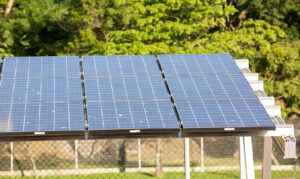 Quinto leilão do Eco Invest Brasil mobiliza quase R$ 50 bilhões para economia verde