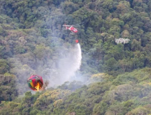 São Paulo envia força-tarefa especializada para combater incêndios florestais no Amazonas