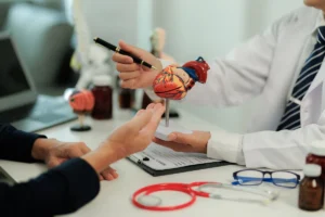 Sistema cardiovascular: entenda como funciona a engrenagem vital do corpo humano