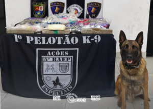Thor encontra 24 kg de drogas escondidas em mata de Itapecerica da Serra com ajuda de cão do BAEP