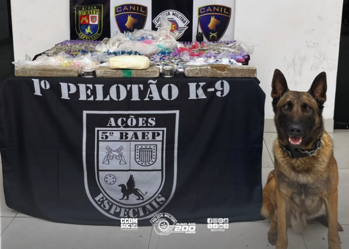 Thor encontra 24 kg de drogas escondidas em mata de Itapecerica da Serra com ajuda de cão do BAEP