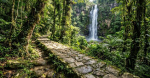 Trilha do Ouro: a travessia histórica de 50 km entre São Paulo e Rio de Janeiro
