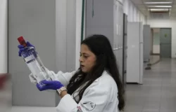 bebidas falsificadas