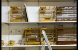 maus-tratos a animais