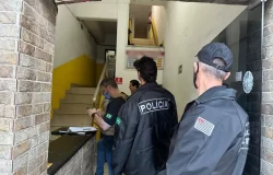 tráfico