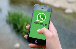 156 pelo Whatsapp