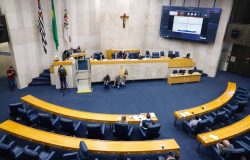 FOTO CAMARA