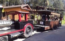 família no parque