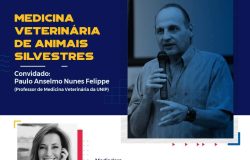 MEDICINA VET DE ANIMAIS SILVESTRES