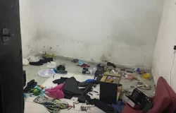padre