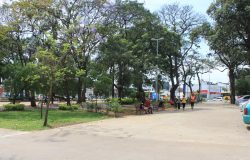 Praca-do-Forro-Carol-61
