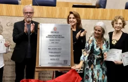 Procuradoria Especial da Mulher