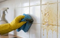 A ciência por trás da limpeza de azulejos engordurados