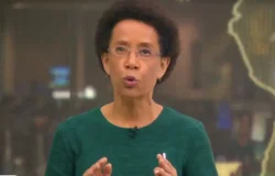 A trajetória e a vida discreta da jornalista Zileide Silva