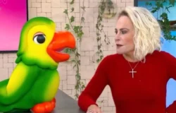 Afastamento de Ana Maria Braga gera tensão nos bastidores e questionamentos sobre Louro Mané