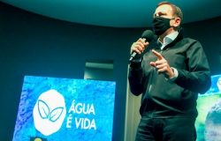 aguaviva1