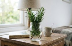 Alecrim no quarto: entenda o efeito real da técnica de aromatização natural