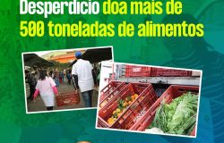 alimento