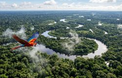 Amazônia: o santuário global de biodiversidade e seu papel vital para o planeta