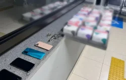 canetas emagrecedoras