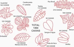 Festival Jardins Comestíveis