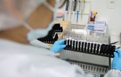 Anvisa libera testes em humanos da Vivaxin, a primeira vacina brasileira contra a malária